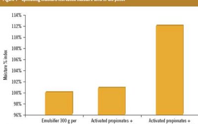 Optimising moisture while maintaining feed quality