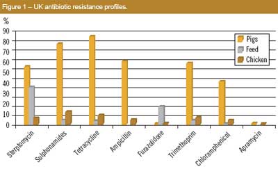 Reaping better effects of organic acids in feed