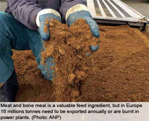 Meat and bone meal – back on the menu please