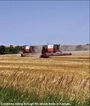American wheat is having a competitiveness problem