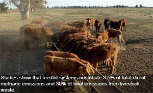 Greenhouse gas reduction via nutrition