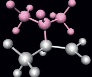 Valine: The next limiting animo acid