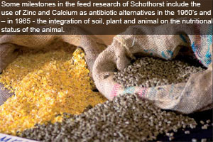 Schothorst Feed Research: 75 years of knowledge