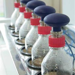 New challenges for by-product preservation