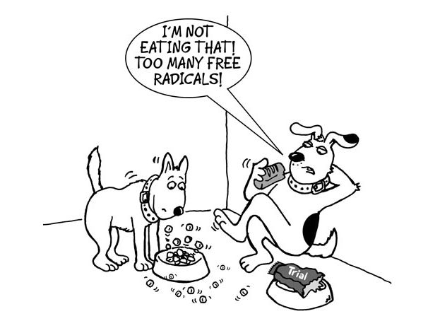 Antioxidants in petfood