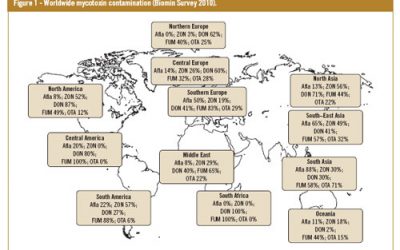 Biomin Survey 2010: Mycotoxins inseparable from animal commodities and feed