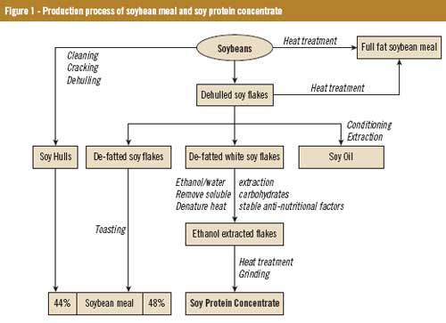 Application of soy protein concentrate in poultry pre-starter feed