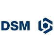 Company update: DSM Q1 2011
