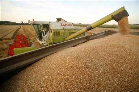 Rising animal feed costs in Kenya hit industry hard