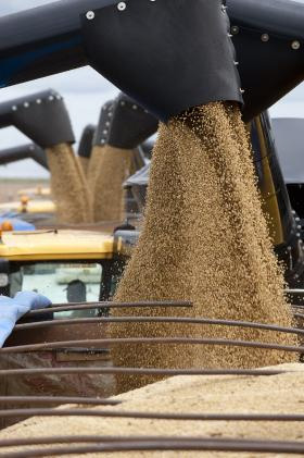 Russia does not need to continue grain export ban