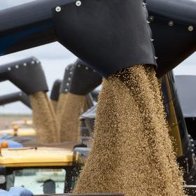 Russia expected to end its ban on grain export