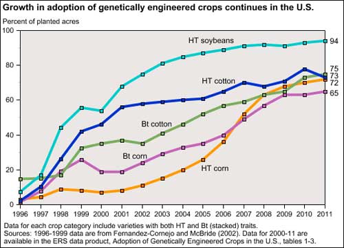 GM-soybeans have become regular in US