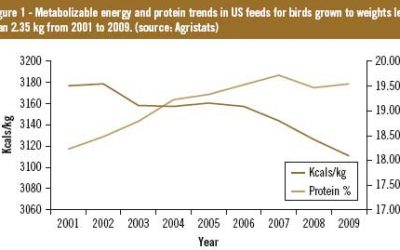 Optimising nutrient density in a volatile market