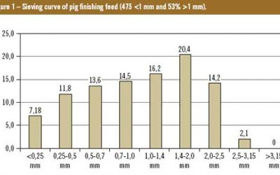 A closer look at feed structure