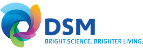 Company update: DSM Q2 2011