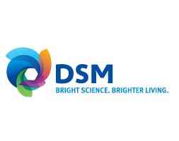 PEOPLE: DSM appoints new Executive Vice President Corporate Strategy & Acquisitions