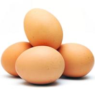 High feed prices hit Taiwanese eggs