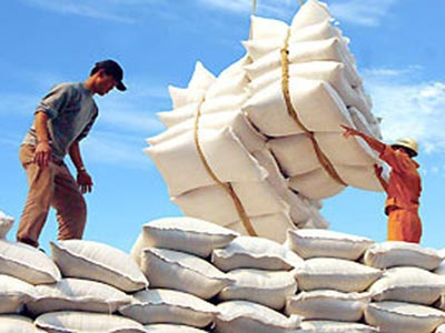 Vietnamese feed firms face lack of raw materials