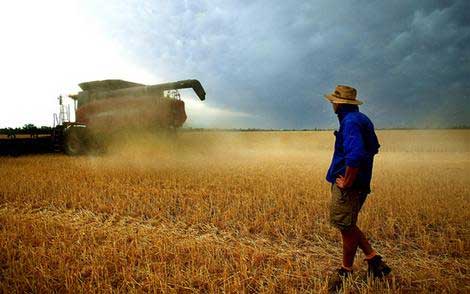 Record yields seen for some Australian wheat crops