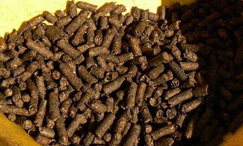 Dioxin cause in German beet pulp found
