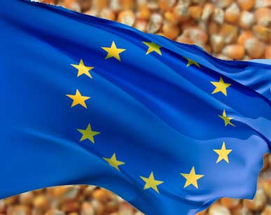 One third of rejected products at EU borders relate to mycotoxins
