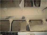 Hygienic feed at high capacity with superconditioning