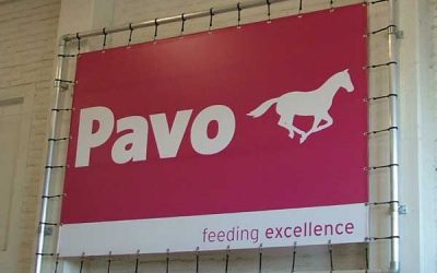 Pavo sells horse nutrition with emotion