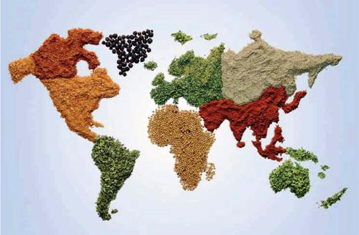 Global Survey: Feed production reaches record of 873 million tonnes