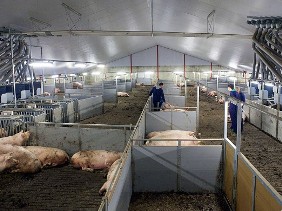 Custom made feed courses at Schothorst Feed Research