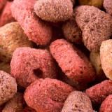 Extrusion effect on quality of dog food