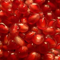 Research: Pomegranate extract and dairy cow performance