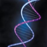Wageningen UR invests in DNA mapping