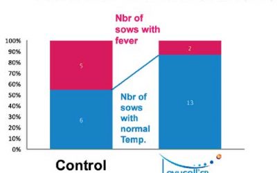 Live yeast reduces incidence of MMA in at-risk pig farms