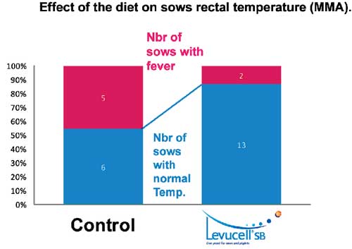 Live yeast reduces incidence of MMA in at-risk pig farms