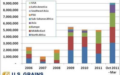 Ukraine corn exports on the rise