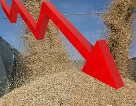World coarse grain production prospects plummet