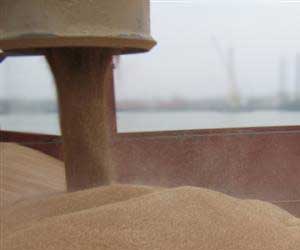 Ukraine’s grain export potential drops sharply