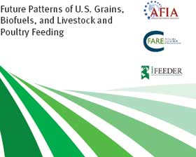 Report: Looks at factors impacting current feed costs