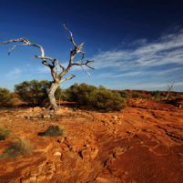 Drought hits GrainCorp’s annual profit