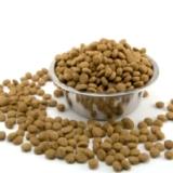 Recommendations list on pet food safety