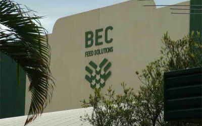 BEC Feed Solutions, Australia