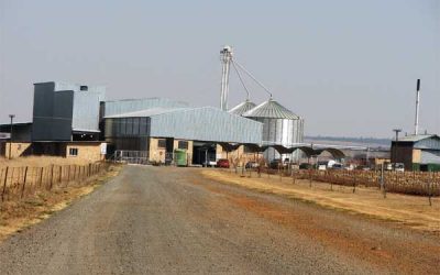 Kuipers Group in South Africa manufactures feed at five sites