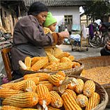China saves grains for food not biofuel