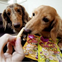 Low calorie petfood takes off