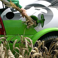China growing more biodiesel crops