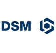 DSM reports good Q4 2007