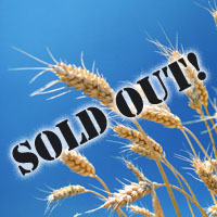 EU: grain intervention stocks sold out