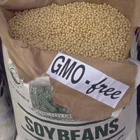 Japan rejects GM corn for human food