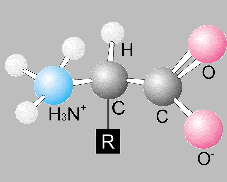 Amino acids market to grow 6.8% per year