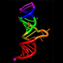 Prosol launches nucleotide product for aqua